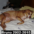 Bruno. 2002-2015